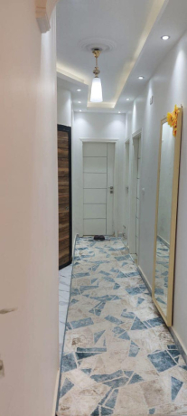 shk-llbyaa-fy-gardynya-hayts-dor-alaol-big-1