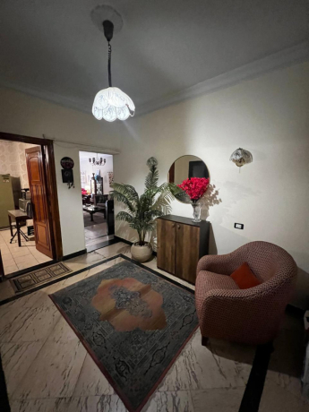 shkh-llbyaa-amam-almthf-almsry-alkbyr-big-1