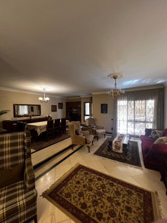 shkh-llbyaa-amam-almthf-almsry-alkbyr-big-0