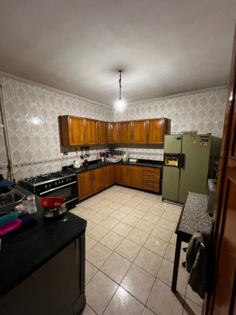 shkh-llbyaa-amam-almthf-almsry-alkbyr-big-2