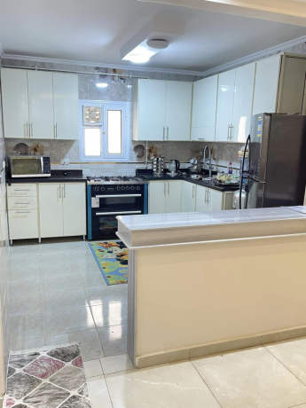 shkh-llbyaa-fy-allbyny-fysl-khlf-asoak-blal-big-2