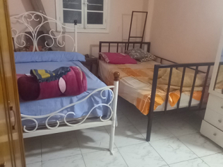 shkh-llbyaa-95-mtrsharaa-alakadmyh