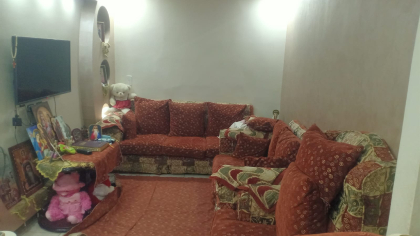 shk-tmlyk-bshbra-msr-big-2