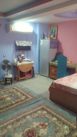 shk-tmlyk-bshbra-msr-big-1