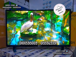 shashat-llbyaa-32-bos-ips-gdyd