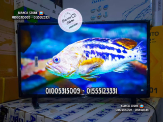 shash-llbyaa-32-bos-ips-gdyd-dman-sntyn