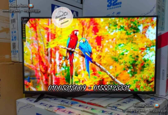 shash-llbyaa-43-bos-smart-androyd-llbyaa-big-1