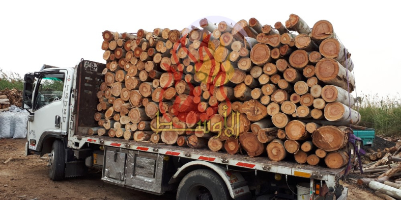 gmyaa-anoaaa-alhtb-llshoaaa-oaltdfy-big-0