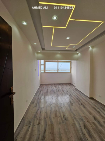 shk-llbyaa-fy-sydy-bshr-aaly-kornysh-askndry-big-1