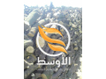 htb-brtkal-mshaoy-small-0