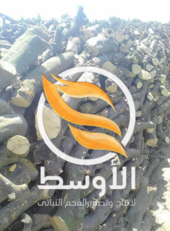 htb-brtkal-mshaoy-big-0