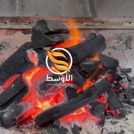 fhm-nbaty-tsdyr-gzoryn-brtkal-lymon-tlh-big-0