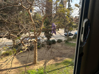 shkh-llbyaa-fy-alshykh-zayd-6-aktobr