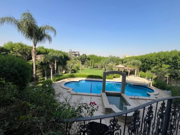 ksr-llbyaa-fy-mdyn-alaabor-gmaayh-aaraby-big-1