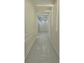 shk-llbyaa-fy-sharaa-fysl-alryysy-small-0
