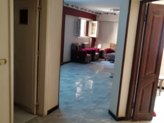 shk-llbyaa-fy-almnya