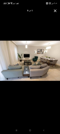 shk-llbyaa-balkrb-mn-algamaa-alamryky-big-0