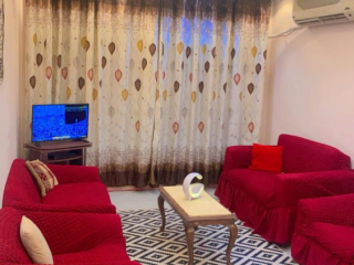 shkh-mfroshh-llaygar-bkornysh-alnyl-almaaady