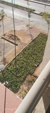 shk-llaygarfy-aktobr-bgoar-nady-alsyd-omol-alaarb-big-1