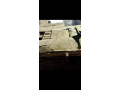 byt-llhdm-oalbnaaa-algmalyh-algoanyh-kryb-gda-lsharaa-almaaz-small-1