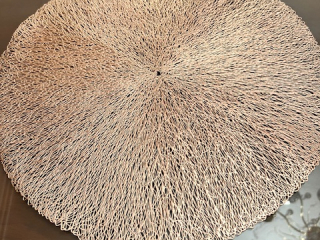 coaster-mfrsh-tht-alatbak