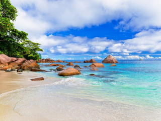 mtlob-skrtyrh-shkhsyh