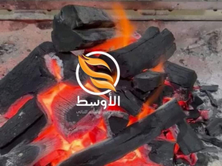 fhm-algzoryn-alnbaty-mshaoy-tsdyr