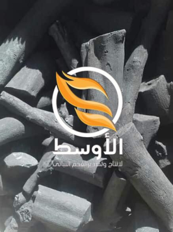 fhm-altlh-altbyaay-lltsdyr-big-0