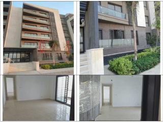 shkh-llbyaa-fy-mdynty-astlam-fory