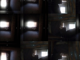 shkh-tmlyk-llbyaa-fy-alhrm-algyz