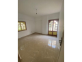 shkh-dor-aol-llbyaa-gnob-alakadymyh-kryb-mn-msgd-hsn-alsharbtly-small-1