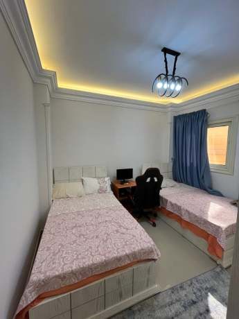 shk-llbyaa-fy-altgmaa-alkhams-ballots-algnoby-big-1