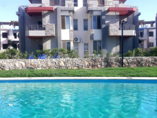 shalyh-llbyaa-astlam-fory